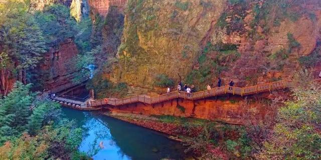 亮相央视！洛阳这些赏秋地，太美！