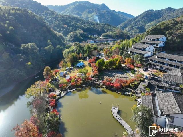 色彩斑斓！福州迎来红叶季