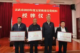 授牌发奖补，仪式感满满 灵武市基层党组织比学赶超争先进位图片