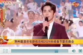 荆州籍演员张新成亮相2024央视春节联欢晚会图片