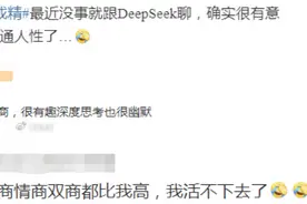 V观话题丨DeepSeek付费课4天赚20万？真实用还是“割韭菜”？图片