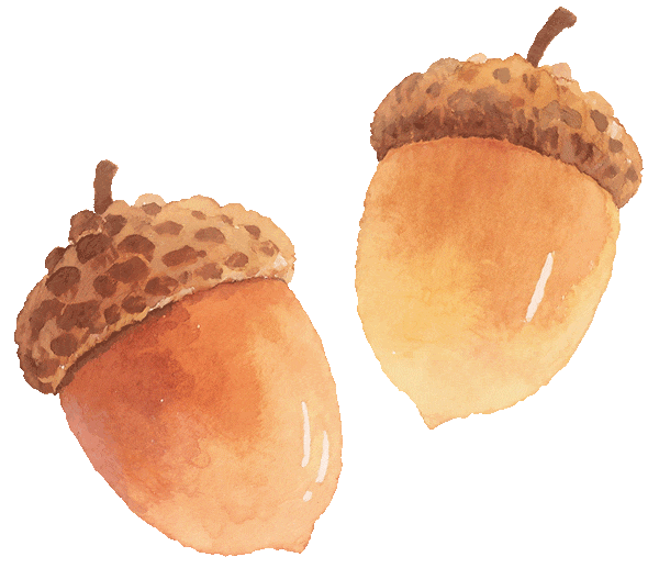 莆田独一份！稻草音乐节，让梧塘西庄没理由不火！