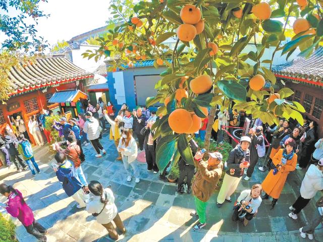 在地坛看“海”、访丹柿小院，年轻人为何热衷在京城“访古寻迹”