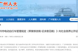 广州拟立法管理电动车  部分市民认为引入“信用管理”太严厉图片