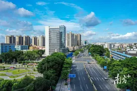 东莞两会·权威访谈｜郑晓坚：望牛墩“四箭”精准发力，释放新势能图片