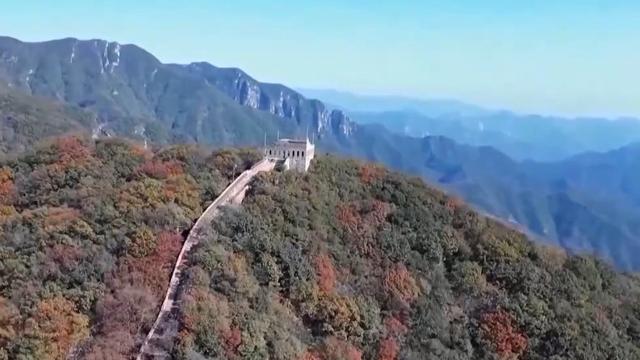 赏秋正当时 八达岭红叶最佳观赏期至本月底