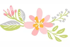 贵州师范学院关于2025年全国硕士研究生招生考试（初试）成绩查询及复核的通知图片