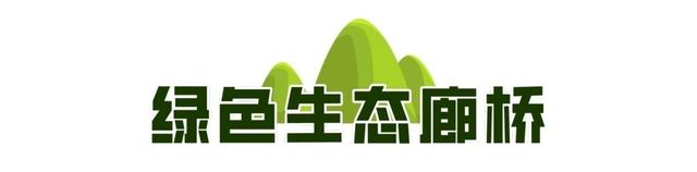 一城山色·泉城绿道 | ③大千佛山片区及周边景区绿道连通惠及广大市民