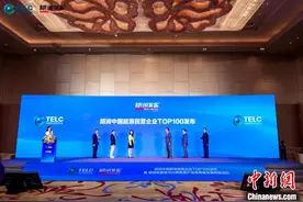 胡润首次发布中国能源民营企业100强 宁德时代市值万亿元登顶图片