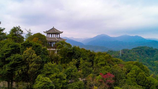 喜迎十五运会，惠州这2条宝藏旅游线路藏不住了！