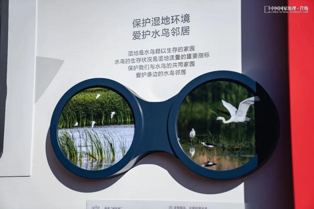 阳山自然驿站矩阵落成，全域科学体验线路启用