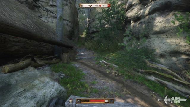 《天国：拯救2》图文流程任务全攻略