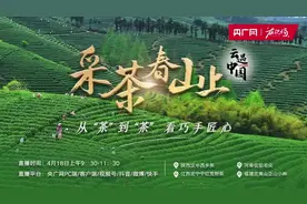 【云遇中国·采茶春山上】福建武夷山：茶香飘山野 品茗山水间图片