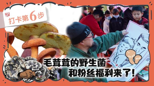 解锁“世界松茸第一村”，总共需几步？