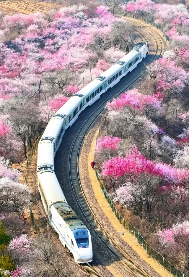 从“十五五”规划建议看行稳致远的中国