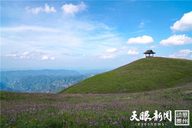 贵州徒步线路推荐系列——毕节阿西里西·韭菜坪丨登贵州屋脊  赏云山花海