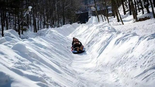 这个冬天，别再“猫冬”啦！300米超长滑道，来这开启嬉冰赏景的雪上之旅