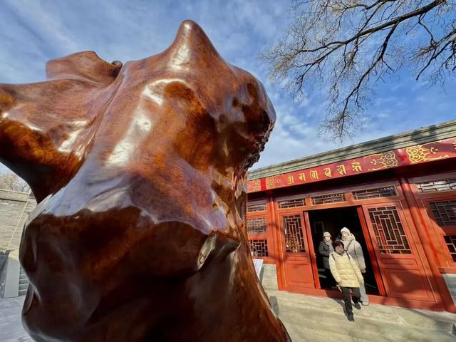 北京的这些“小而美”，别错过了！