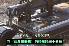 可火力打击能输送弹药！我军战斗机器狗投入实战图片
