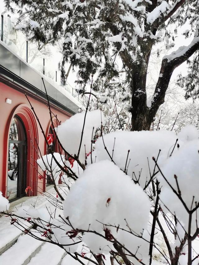雪后香山！北京冬日浪漫天花板，快来打卡