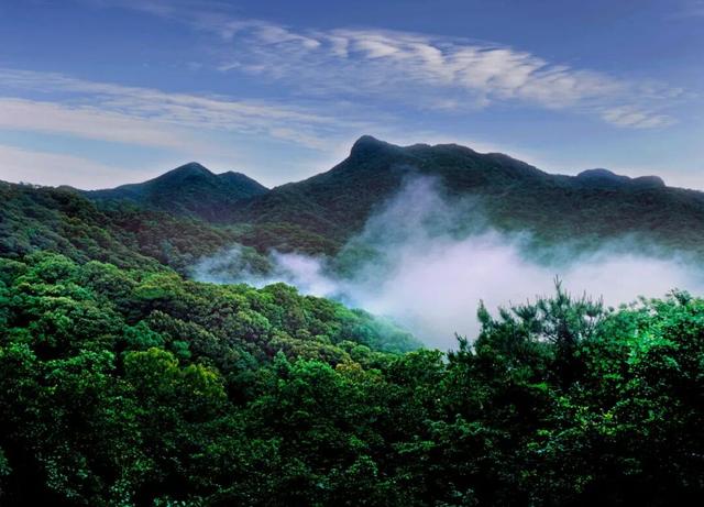 央视大片《珠江》里的花都④：花都的美，每一秒都封神~