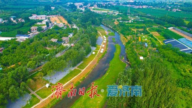 一年四季 泉在济南丨玉符河畔碧水绿树相映，绘就泉城清凉画卷