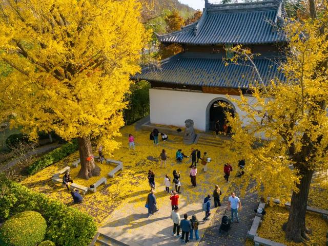 太仙了！美到巅峰！这个周末，又要人人人啦~