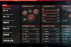 618四川人购买力全国第四 摄影摄像品类热销拉满松弛感丨封面有数图片