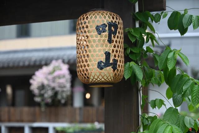 走！赴淘金山之约，叩山问水寻静心