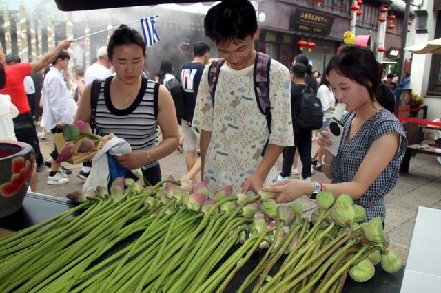 江苏苏州：山塘街荷花俏销 感受初秋浪漫