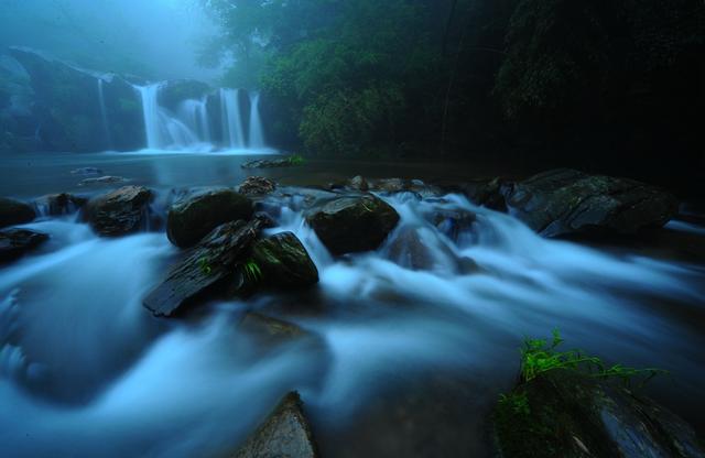 一花一瀑一云烟，庐山春意正当时