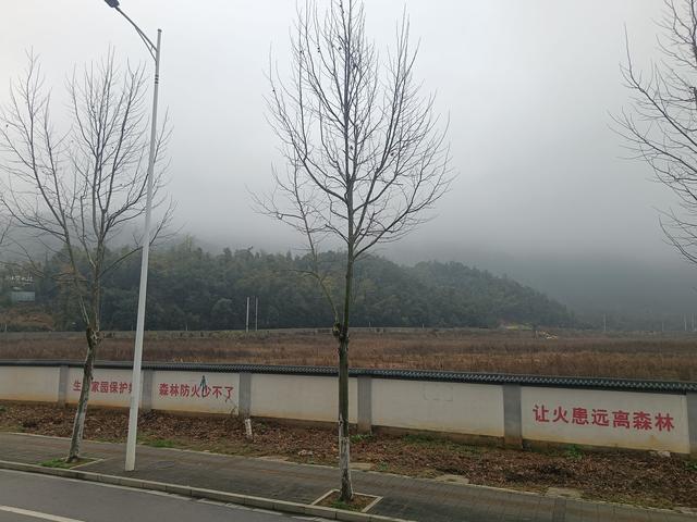 长沙一网红野爬山地发现响尾蛇？专家辨认系有毒的短尾蝮，当地提醒：不要随意登野山！