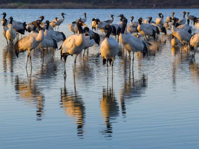 为什么冬天要来毕节？这就是答案→