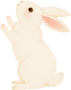 月满京城，站站生花！“七站两场”中秋打卡指南来了！
