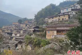 浙江：老屋如何“住进”新故事？图片