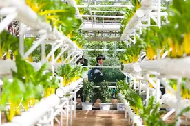 第二十五届中国（寿光）国际蔬菜科技博览会开幕图片