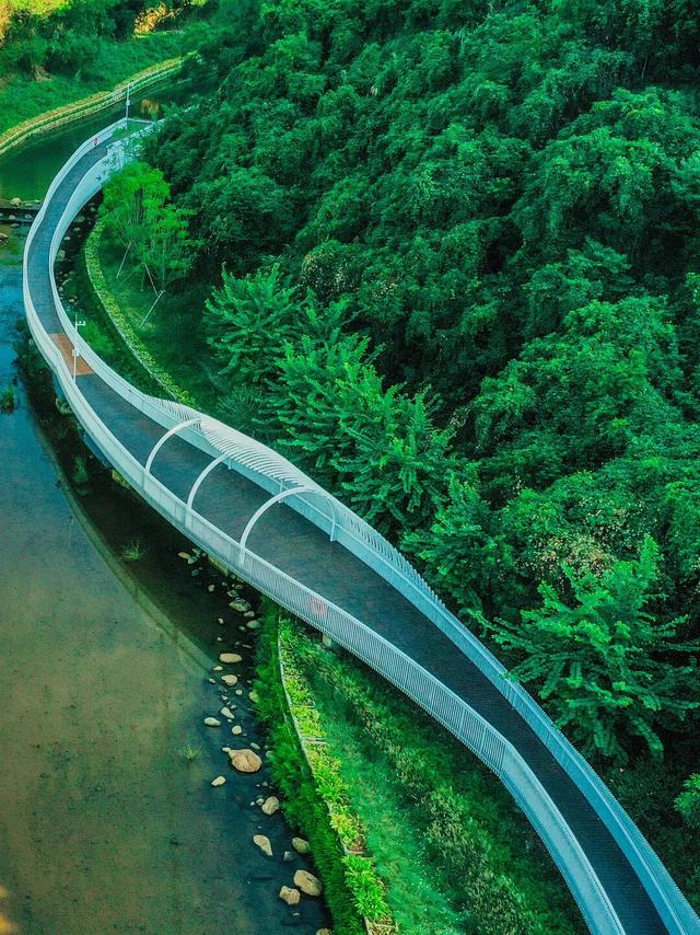 12点报名！深港环水库绿道骑行活动来啦！