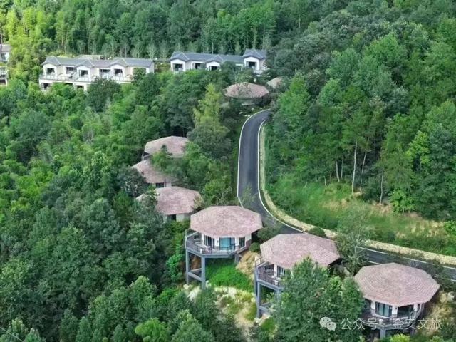 逃出浪浪山，来金安看一看！