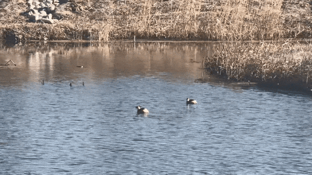 北京冬日限定“奇观”！就到月底！快冲→