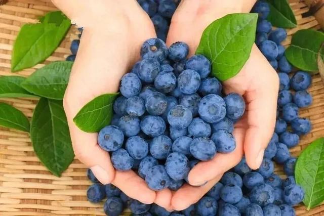 乘着高铁游威海 | 千里山海，等你！