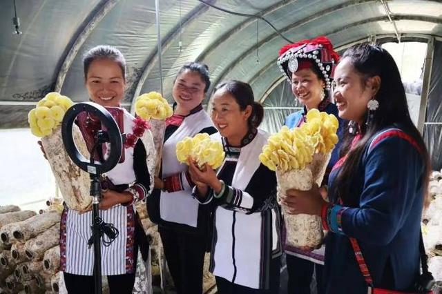 一到弥勒就快乐