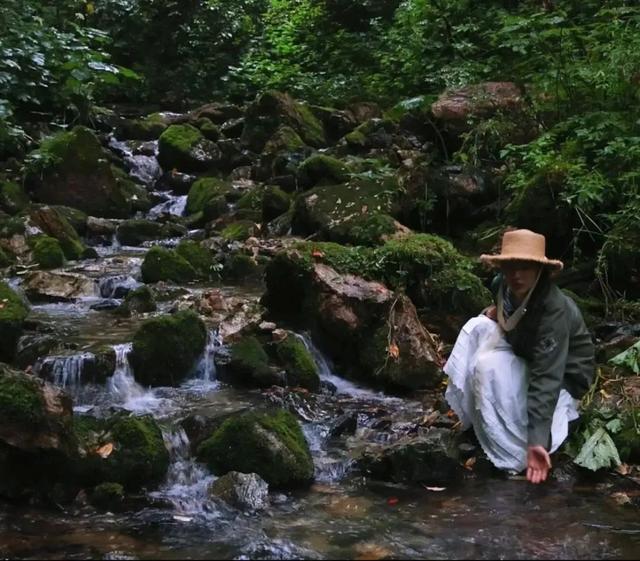 在雨中的神农架，遇见云山雾海、迷雾森林