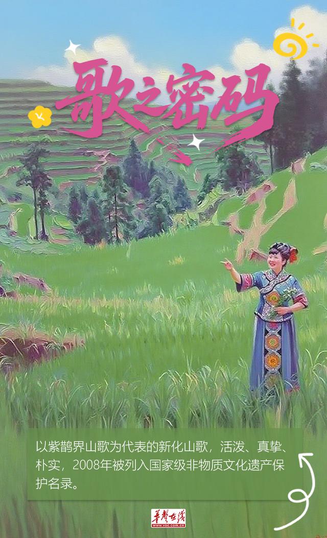 【AI海报】紫鹊界，讲给世界的密语