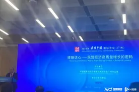 如何提振民营企业家信心？“稳定发展预期很重要”图片