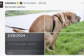 玩家不满《CS2》更新力度：或许是在准备大的？图片