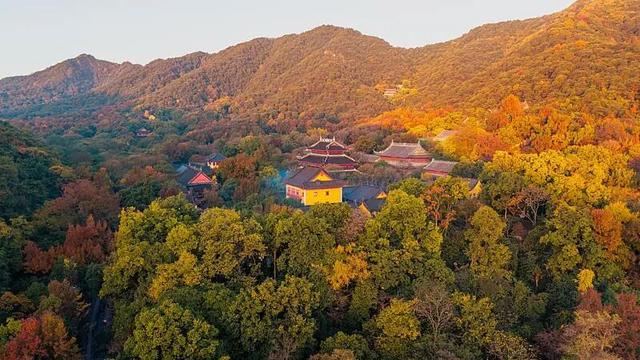 多地宣布旅游政策：免费、半价！