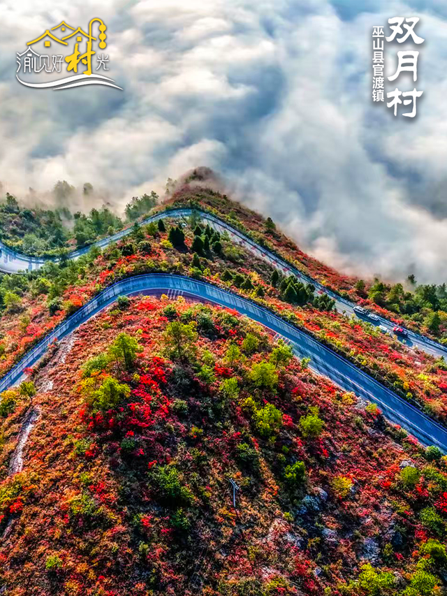 渝见好“村”光 | 巫山双月村：红叶如火，冬日C位绝了！