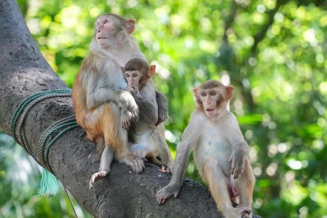 陵水过冬指南：除了晒太阳，还能这么玩！