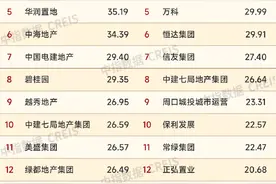 河南省1～11月房地产企业销售业绩TOP20出炉图片