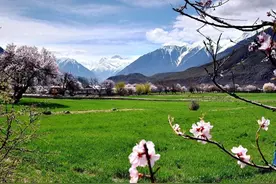 跨越四千年：探秘青藏高原湖畔的生命史诗图片